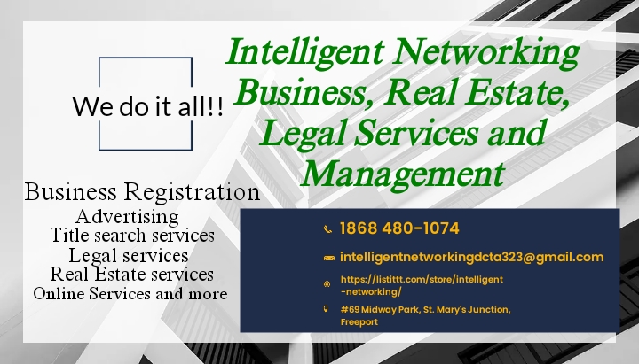 Intelligent Networking Development & Consultant Solutions Agency